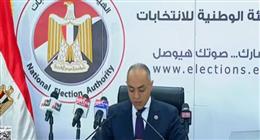 على رأسها أرمينيا والإمارات وعمان.. مشاركة واسعة للجاليات في «انتخابات النواب»