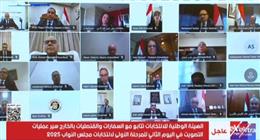 سفراء مصر بالأردن وإريتريا وموريشيوس: تصويت المصريين في انتخابات النواب يسير بسلاسة