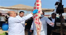 «الزراعة»: ضبط 682 طن لحوم غير صالحة للاستهلاك وتحرير 1060 محضرا خلال نوفمبر