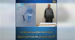 اعتداء وحشي على قطتين.. والداخلية تحقق في واقعة منهما
