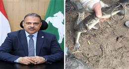 محافظ الشرقية يشكر الجهات المشاركة في اصطياد “تمساح الزوامل»: عملوا 7 أيام متواصلة