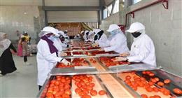 مشروعات صناعية وغذائية جديدة بالأقصر توفر مئات فرص العمل خلال 2025