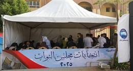 خبير سياسي: نجاح عملية التصويت بانتخابات مجلس النواب بالخارج تعكس كفاءة الدولة
