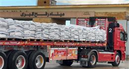 الهلال الأحمر المصري يدفع بأكثر من 9 آلاف طن مساعدات إنسانية إلى قطاع غزة  