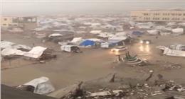 الخيام طارت.. مشاهد ثوثق معاناة أهالي غزة بسبب المنخفض الجوي (فيديو)