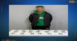 القبض على شخص بحوزته مبالغ مالية أمام إحدى لجان انتخابات النواب بالمنوفية