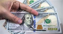 عاجل | الدولار يواصل التراجع أمام الجنيه.. ومصرفيون: سيصل لـ45 جنيها قريبا