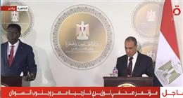 وزير الخارجية: يجب إطلاق عملية سياسية شاملة لا تقصي أحدا في السودان