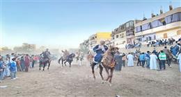 شباب الشيخ موسى يختتمون «مرماح الخيول» في الأقصر بحضور جماهيري كبير