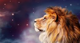  لقاء مفاجئ ينتظر مولود برج الأسد اليوم الخميس 4-12-2025