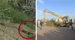 القصة الكاملة للعثور على تماسيح داخل مصرف في بلبيس.. تحرك من الأجهزة التنفيذية
