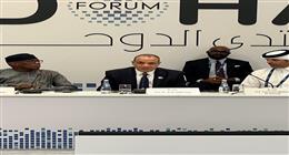 وزير الخارجية: مصر ترفض أي إجراءات أحادية لفرض أمر واقع على الصومال