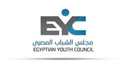 مجلس الشباب المصري يصدر تقريره الختامي حول تصويت المصريين بالخارج في إعادة الانتخابات