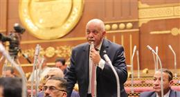 عضو بـ«الشيوخ»: تمديد مبادرة كلنا واحد يعكس الحرص على تلبية مطالب المواطنين