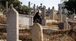 أفضل دعاء للميت في العيد.. يفتح أبواب الرحمة 