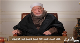 أحمد عمر هاشم: «الرسول وُلد على الفطرة وأجداده عُرفوا بالشرف»