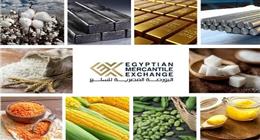 رئيس البورصة السلعية: نعمل على توسيع نشاطنا لتقليل الأسعار وزيادة الشفافية