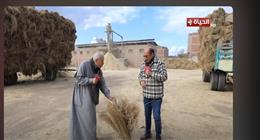 أحد مزارعي الكتان بالغربية: نصدر إنتاجنا لدول أوروبية