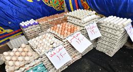غدا.. افتتاح سوق اليوم الواحد في الجمالية بأسعار مخفضة
