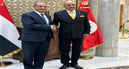 وزير الخارجية يستعرض مع نظيره التونسي جهود مصر لوقف إطلاق النار في غزة