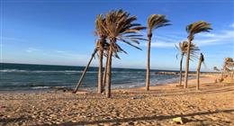 في عيد تحرير سيناء.. التنمية تغير وجه أرض الفيروز