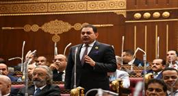عضو بـ«الشيوخ»: خطاب الرئيس يؤكد أن معركة التنمية لا تقل قدسية عن معركة التحرير