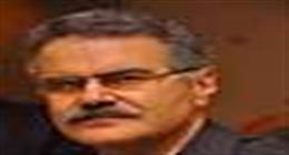 أشرف غريب يكتب:  عن الكلاب الضالة مرة أخرى