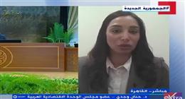 عضو بـ«الوحدة الاقتصادية العربية»: مصر عازمة على  زيادة حجم الاستثمارات الأجنبية