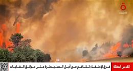 الاحتلال الإسرائيلي أمام كارثة بيئية جديدة.. حرائق الغابات تهدد محيط القدس (فيديو)