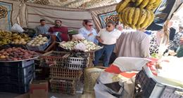 منفردا.. محافظ الدقهلية في جولة مفاجئة على المنافذ وسوق اليوم الواحد