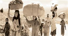 فلسطين في ذاكرة الأدباء.. حكايات الفقد واللجوء وانكسار الروح