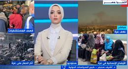 خبير: مصر ثابتة على موقفها الرافض لجرائم الاحتلال الإسرائيلي في غزة