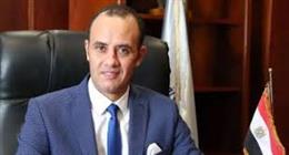 شعبة الدواجن: لا صحة لنفوق 30% من الفراخ.. ومصر تحقق الاكتفاء الذاتي