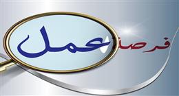 فرص عمل في محافظة الشرقية.. والكشف عن طريقة التقديم