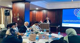 ورشة عمل لمناقشة نتائج دراسة تقييم منهجية التكتلات الاقتصادية ببرنامج التنمية المحلية في صعيد مصر
