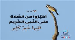 «الإفتاء»: الصلاة على النبي تحمل في طياتها خيرا كثيرا