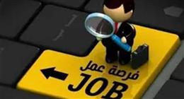 وظائف شاغرة بمرتبات مجزية في شركة سيارات.. اعرف الشروط والتخصصات