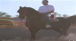 عصام السقا يروج لفيلم «ريستارت» بالرقص على الخيل (فيديو)