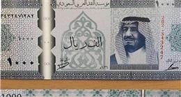  سعر الريال السعودي اليوم الاثنين 23-6-2025 مقابل الجنيه المصري