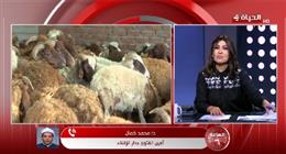 «الإفتاء»: صكوك الأضحية جائزة ولا ينقص الأجر والثواب