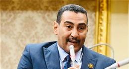 عضو بـ«النواب»: الرئيس السيسي زعيم وطني يتعامل مع الأزمات بحكمة