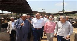 محافظ القليوبية يعلن التوسع في مشروعات الإنتاج الحيواني