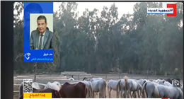 وزير الزراعة: إنشاء المقر الجديد لمحطة «الزهراء للخيول» بالعاصمة الإدارية  