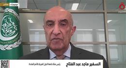 مسؤول الجامعة العربية بالأمم المتحدة: نرفض التدخل الخارجي في غزة