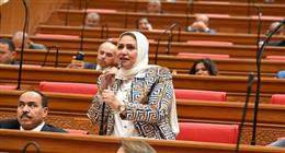 عضو بـ«النواب»: بيان «الخارجية» يؤكد موقف مصر التاريخي من القضية الفلسطينية 