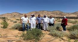 «بحوث الصحراء» يطلق المرحلة الثانية من مشروع التنمية الزراعية بجنوب سيناء
