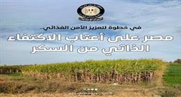 مجلس الوزراء: مصر لن تستورد السكر بدءًا من العام المقبل