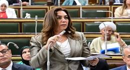 التنمية المحلية: تسليم بيان لـ«النواب» بأراضي الدولة الفضاء بالمحافظات غدا