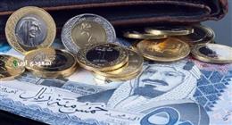 سعر الريال السعودي اليوم الخميس 5- 6- 2025 مقابل الجنيه المصري