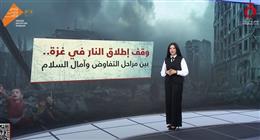 أمل الحناوي: ملف وقف إطلاق النار بغزة يشهد تطورات متسارعة 